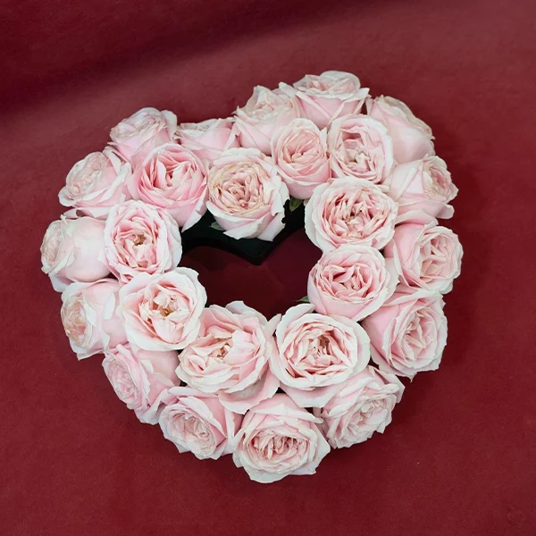 Love Shape Pink Rose