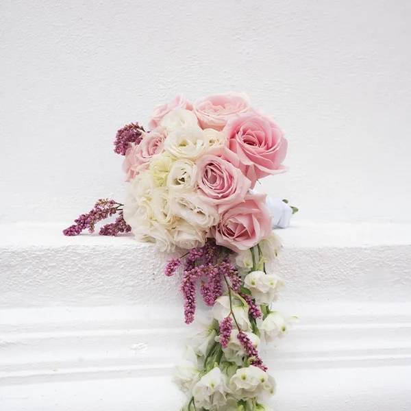 Pink & White Rose