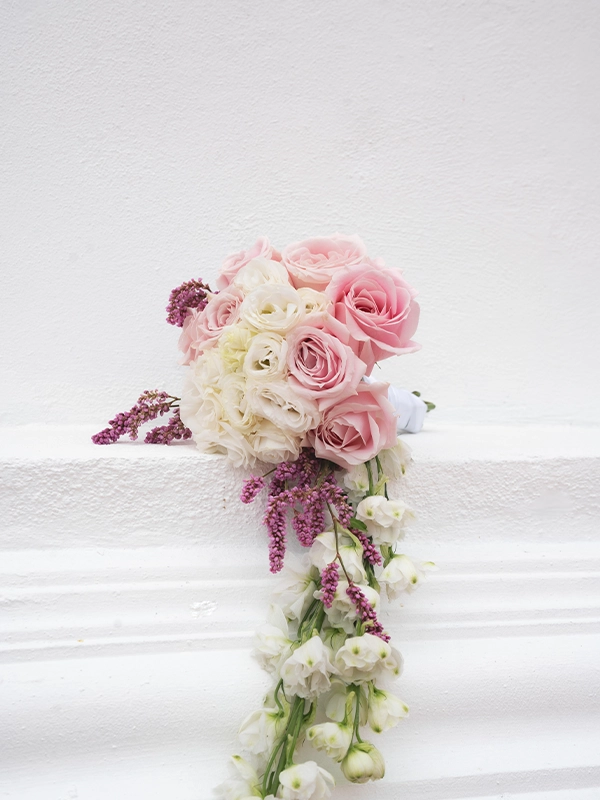 Pink & White Rose